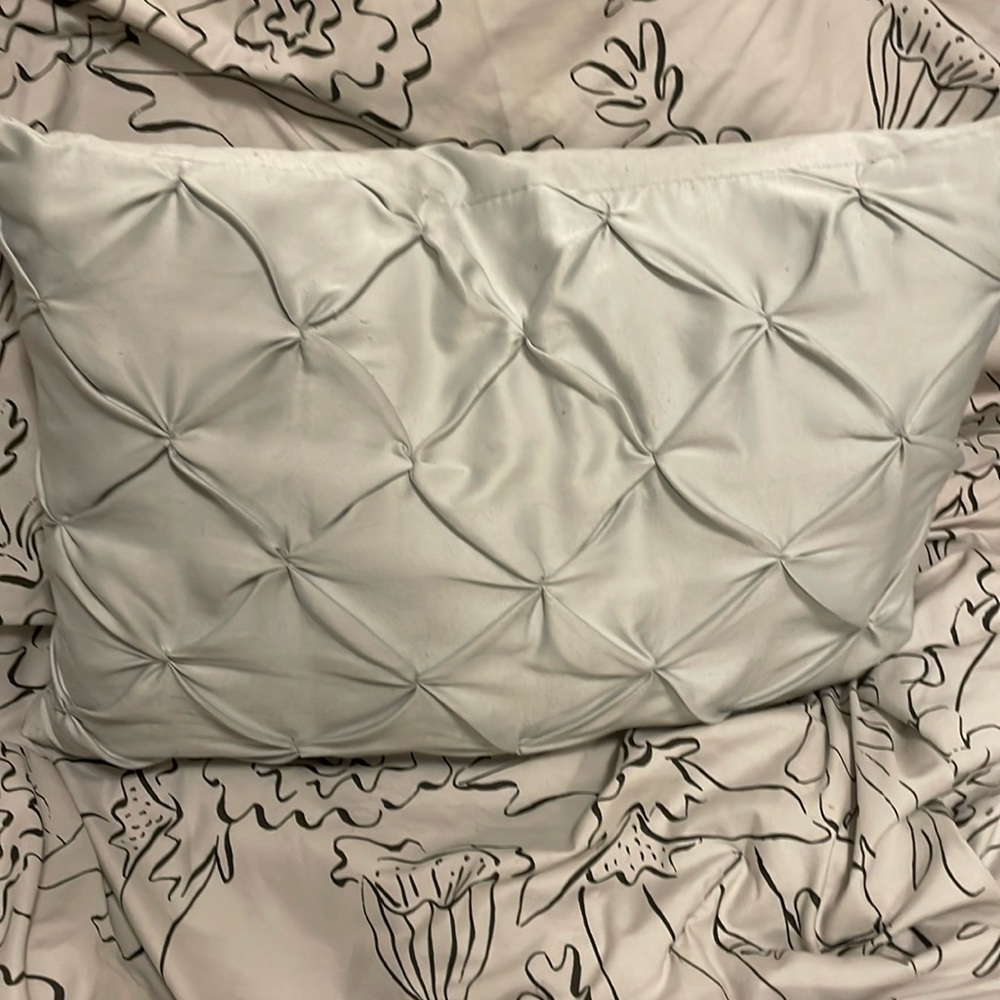 Adorable and sleek pillow